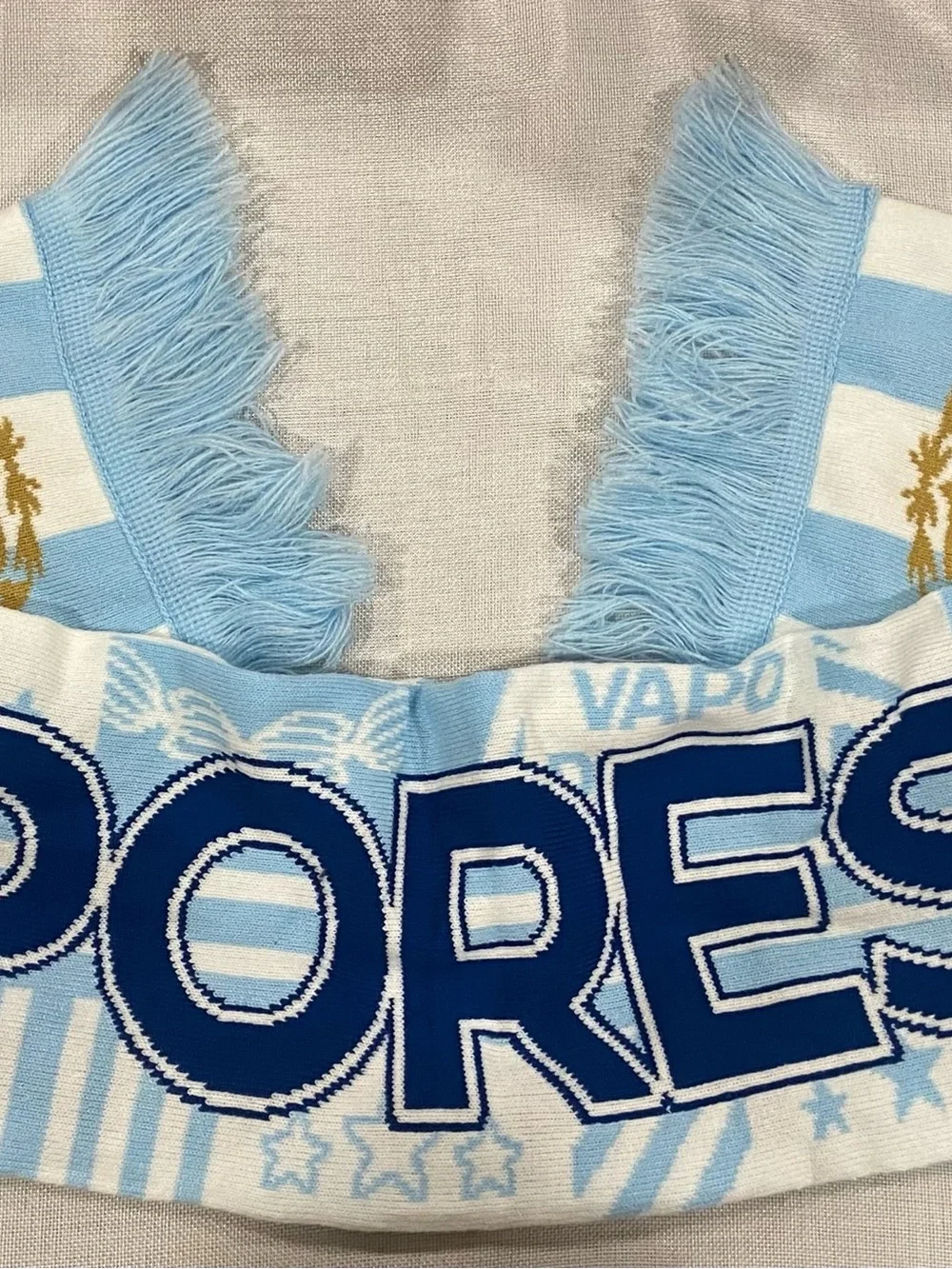 FIFA Argentina National FÚTBOL Team Scarf Official Licensed AFA